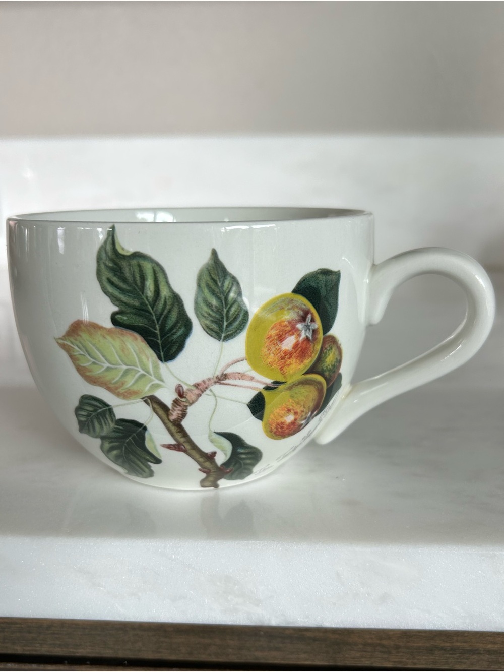 Portmeirion Pomona Trenton Squash Pear Goddess of Fruit Jumbo Tea Cup/Mug